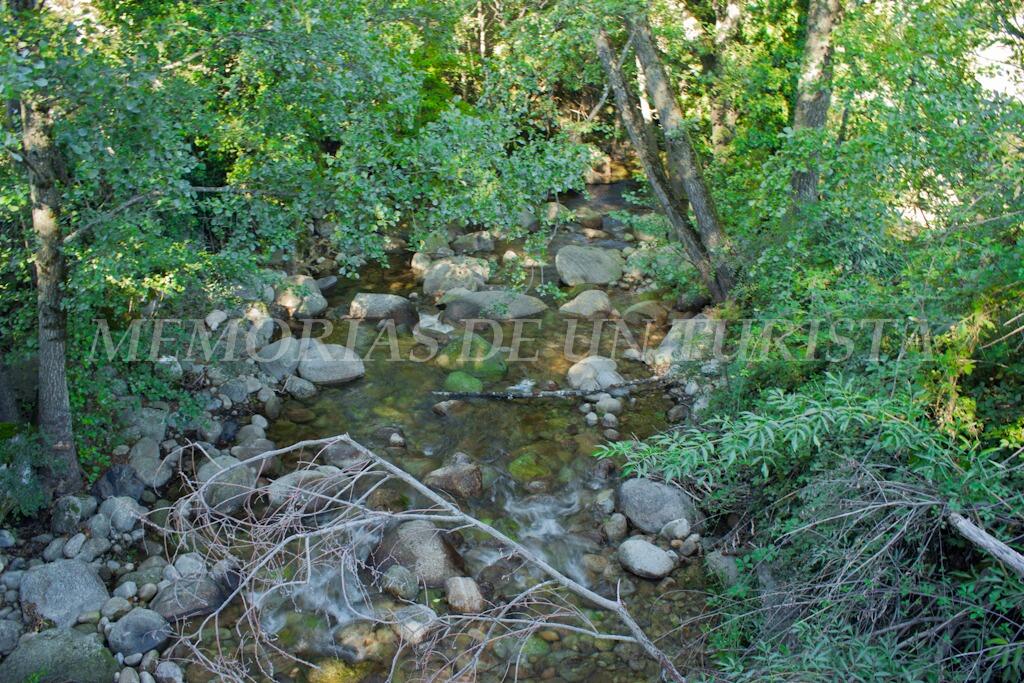 Garganta corriendo de agua