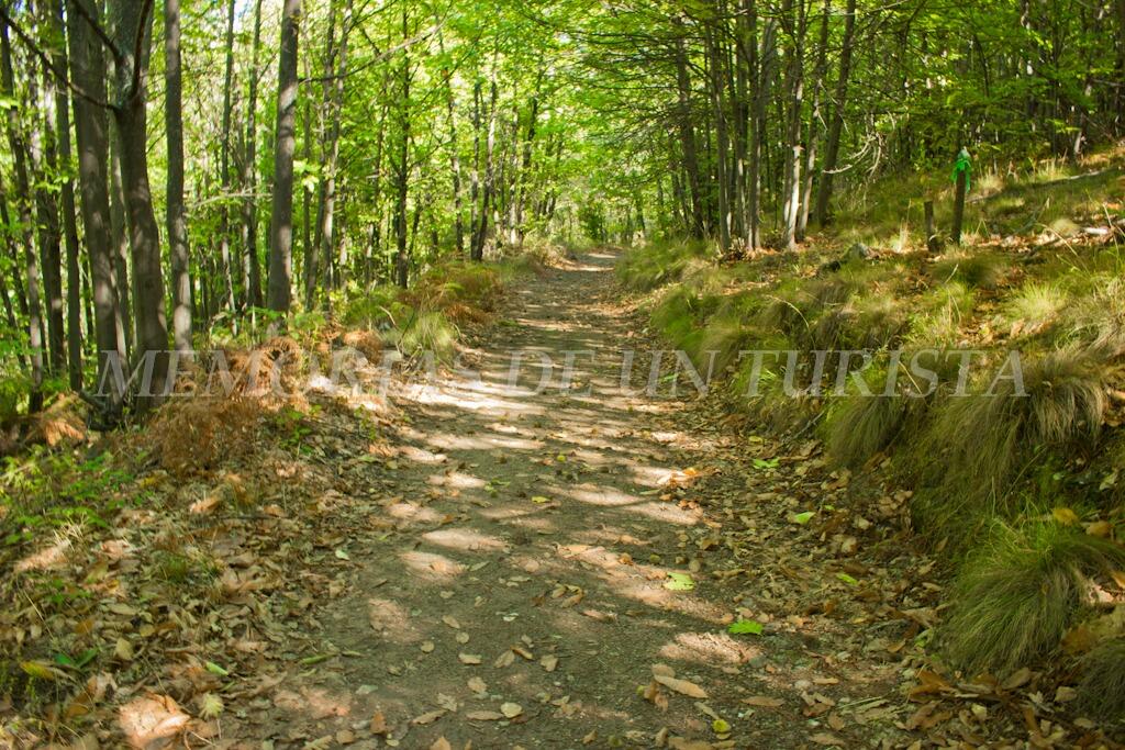 Sendero a seguir