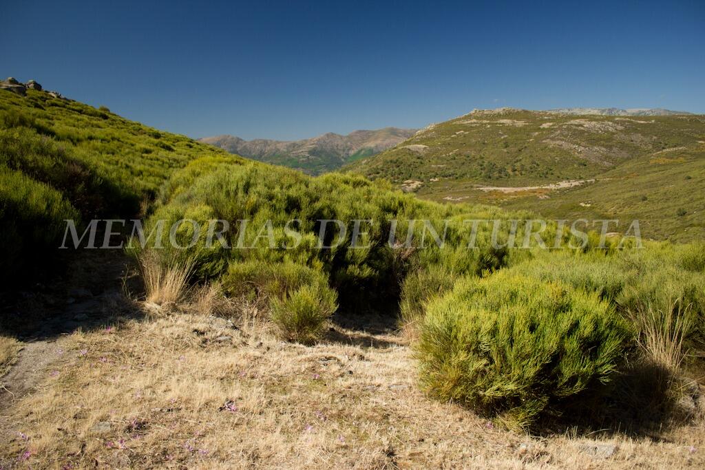 Valle del Jerte desde el Collado de las Yegüas