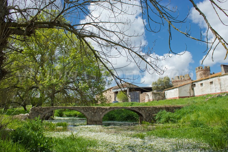 Puente en el Regato de la Cinchosa