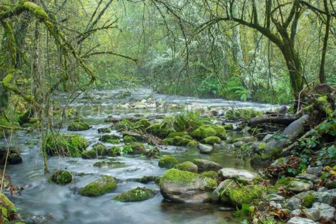 Río Muniellos