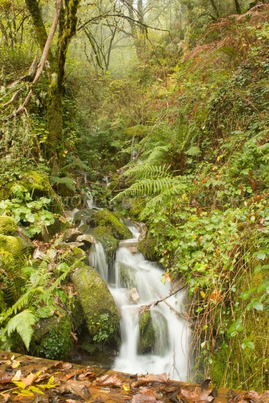 Cascada de agua