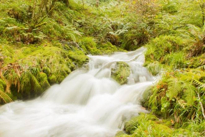 Cascada en el Río Muniellos