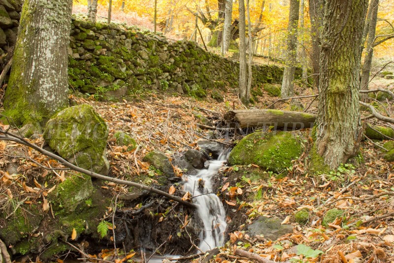 Arroyo del Temblar