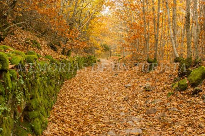 Camino de bajada al pueblo