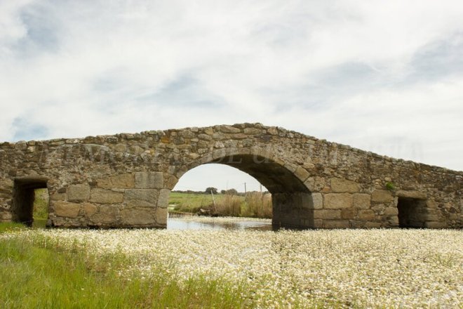Puente Romano de Santiago de Bencáliz
