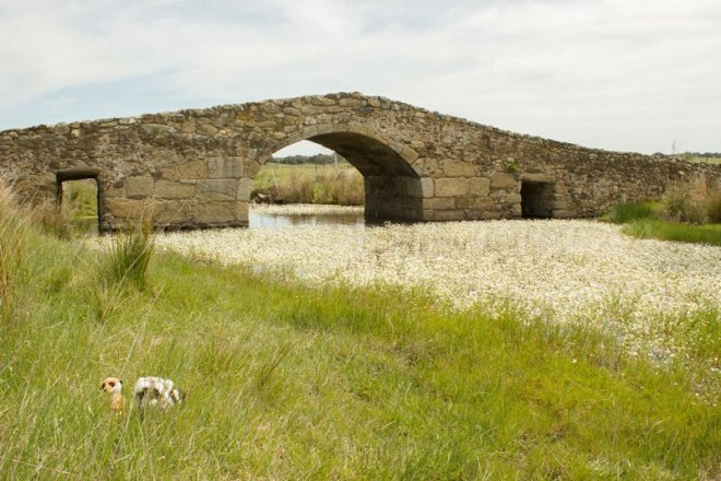 Mery y Pepe en el Puente Romano de Santiago de Bencáliz