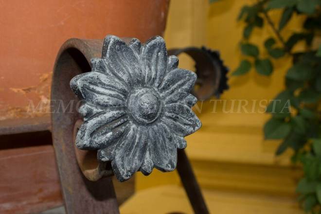 Flor de hierro