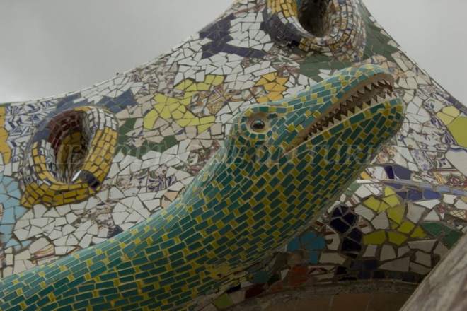 Lagarto en la fachada