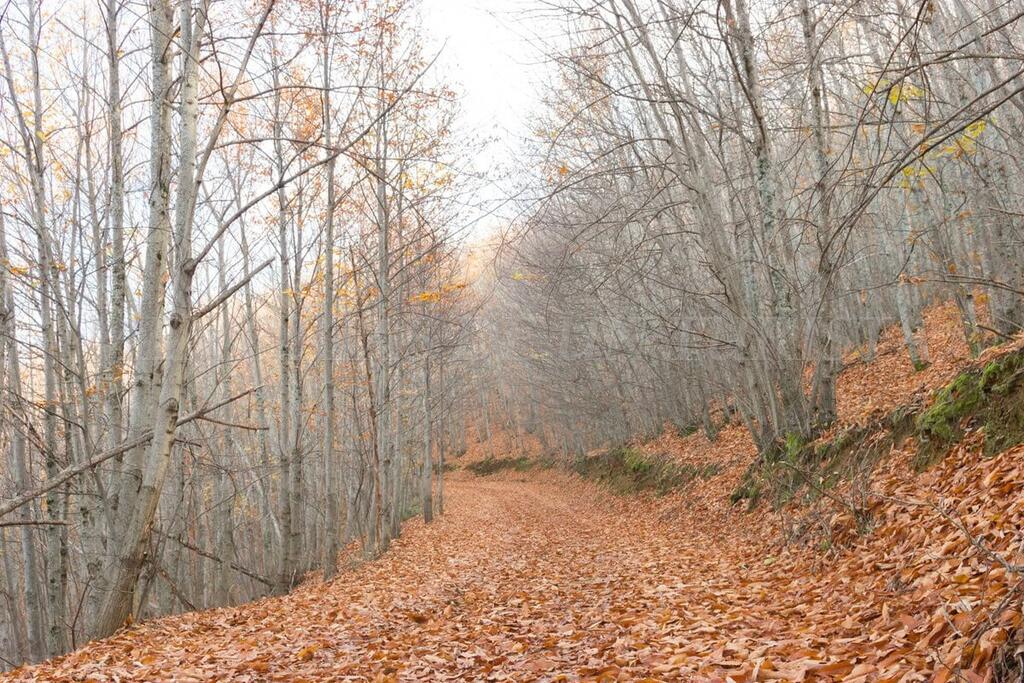 img_9592