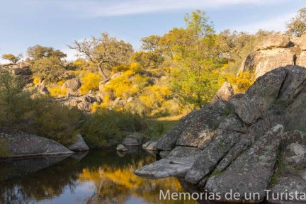 Entorno del Berrocal del Rugidero, en las cercanías del Embalse de Cornalvo. El contraste entre las grandes rocas y el amarillo de las escobas durante la primavera hacen de él un entorno bonito