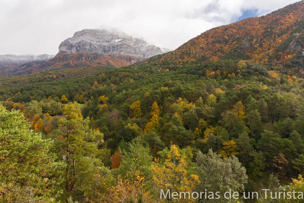 Aragón – Valle de Hecho: conociendo la impresionante Selva de Oza
