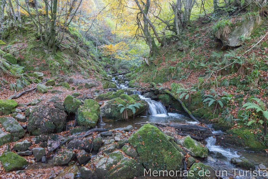 Asturias – Teverga: ruta por el Hayedo de Montegrande y la Cascada del Xiblu