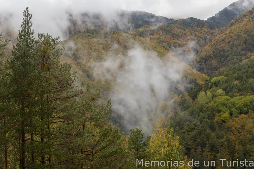 Paisaje otoñal en el bosque de la Pardina del Señor de Fanlo, con nubes bajas y niebla envolviendo las laderas de árboles en tonos amarillos, verdes y ocres