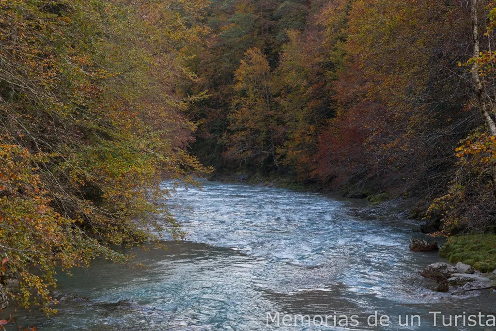 Sendero de Turieto Bajo en Ordesa: vista del cauce del río Arazas rodeado de vegetación de ribera en tonos amarillos y rojizos durante el otoño