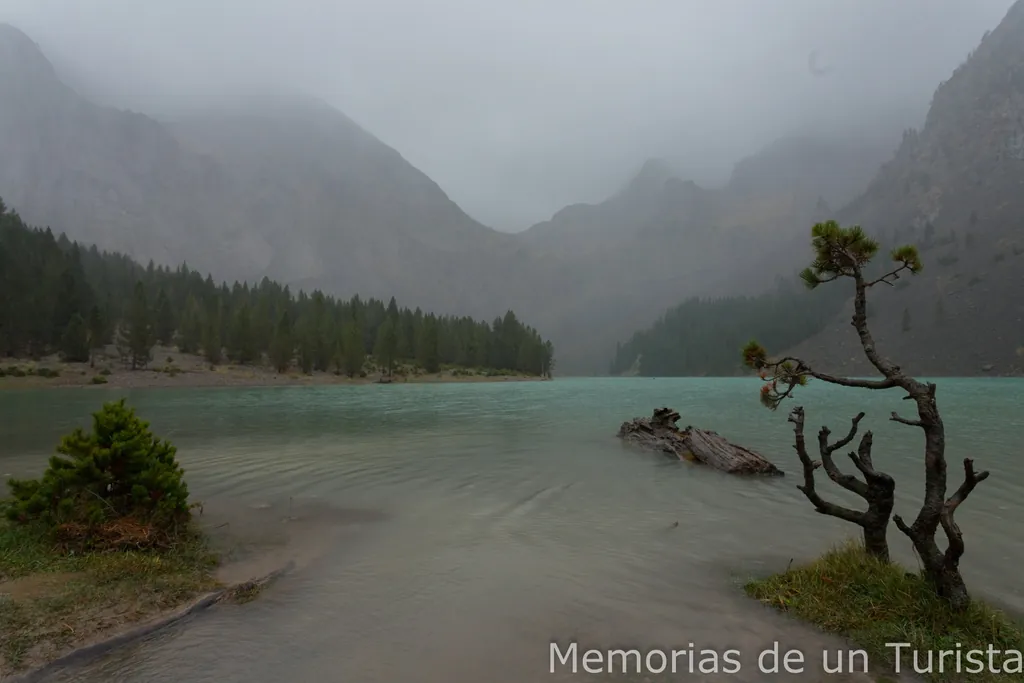 Vista del Ibón de Plan en Huesca en un día de niebla, con aguas de color turquesa, un pino joven en primer plano y laderas de alta montaña difuminadas por la bruma