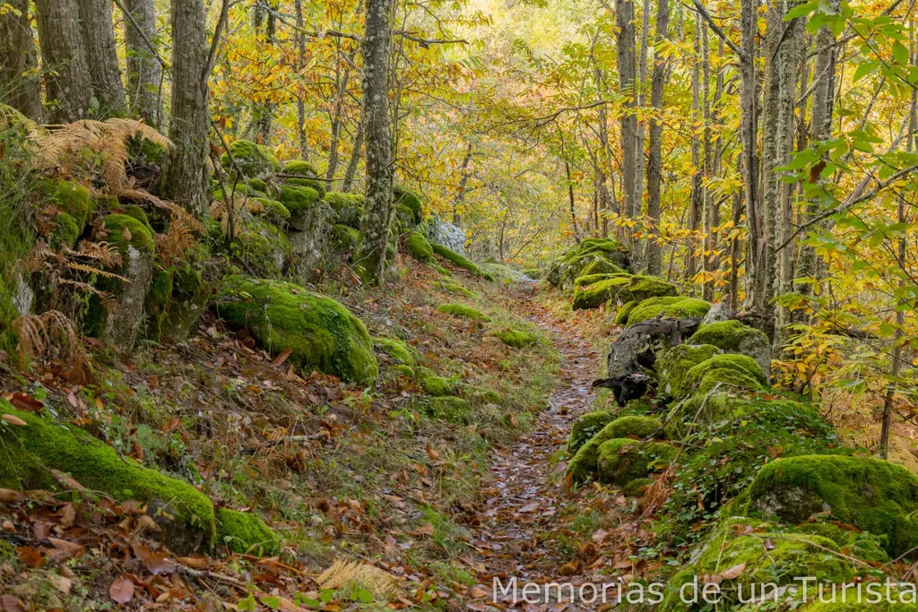 Castilla y León – Sierra de Béjar: ruta de los castaños de Puerto de Béjar