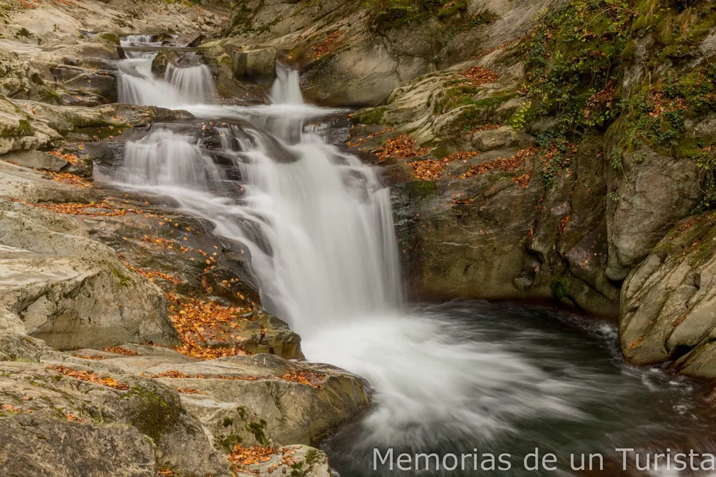 Navarra – Valle de Salazar: conociendo la Selva de Irati